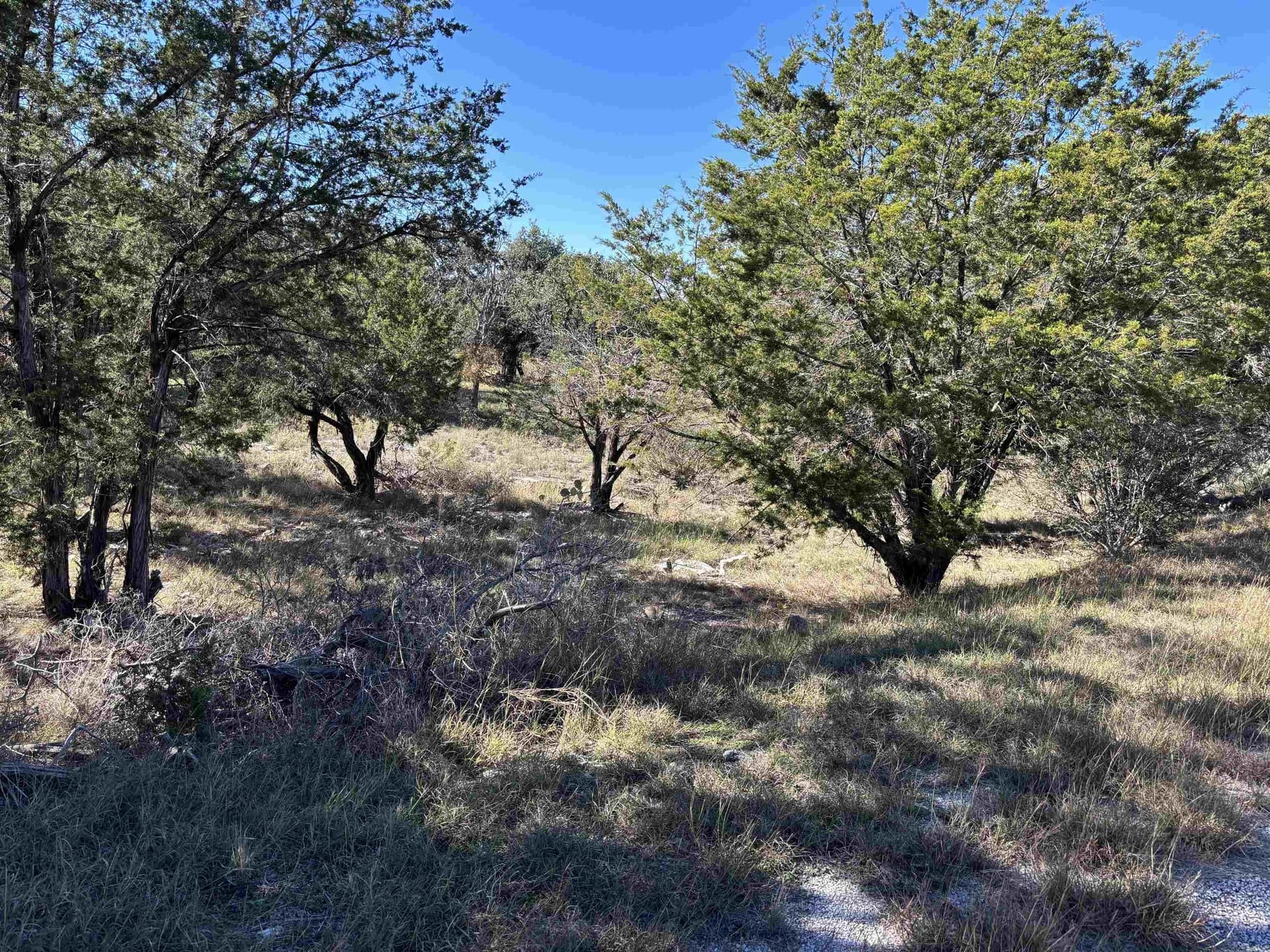 0.23 acres in Llano County gallery image 2