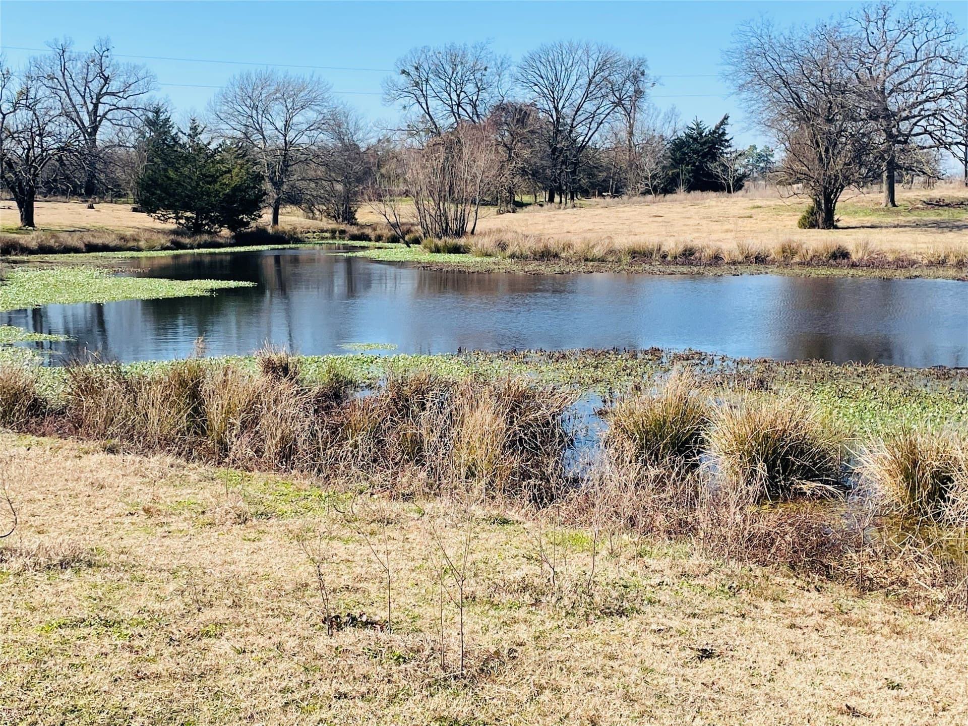 22 acres in Hopkins County - photo 3