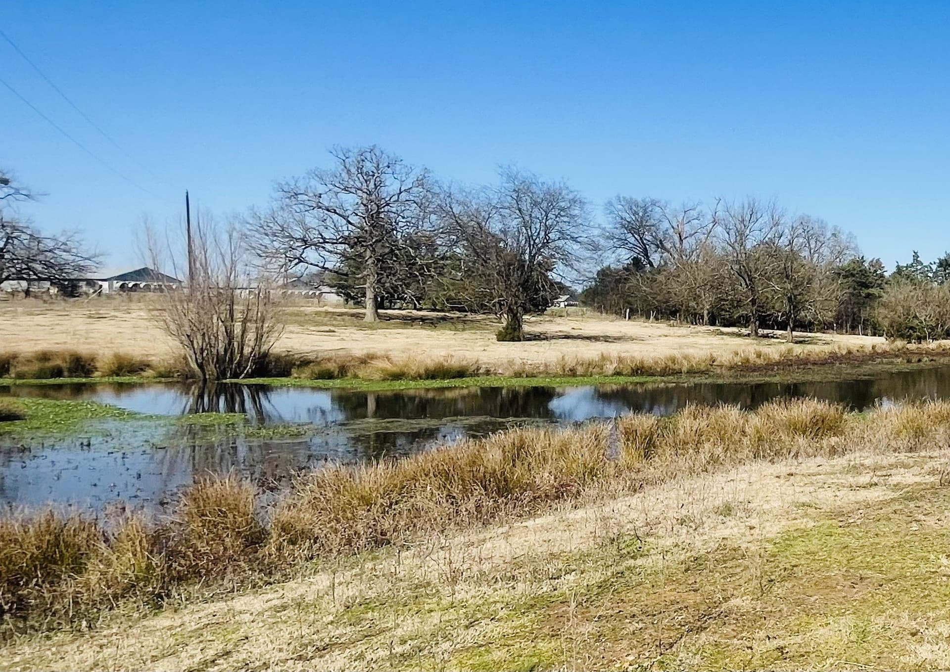 22 acres in Hopkins County - photo 8