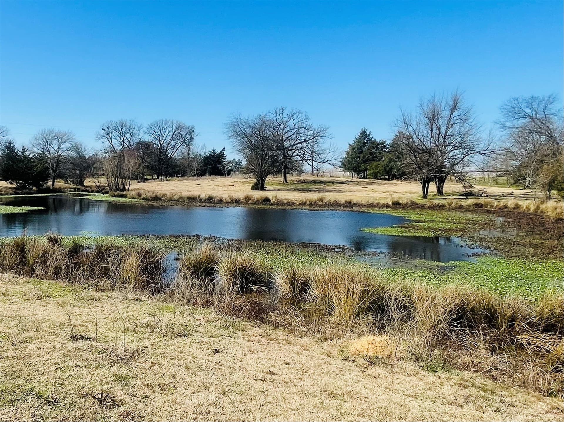 22 acres in Hopkins County - photo 9