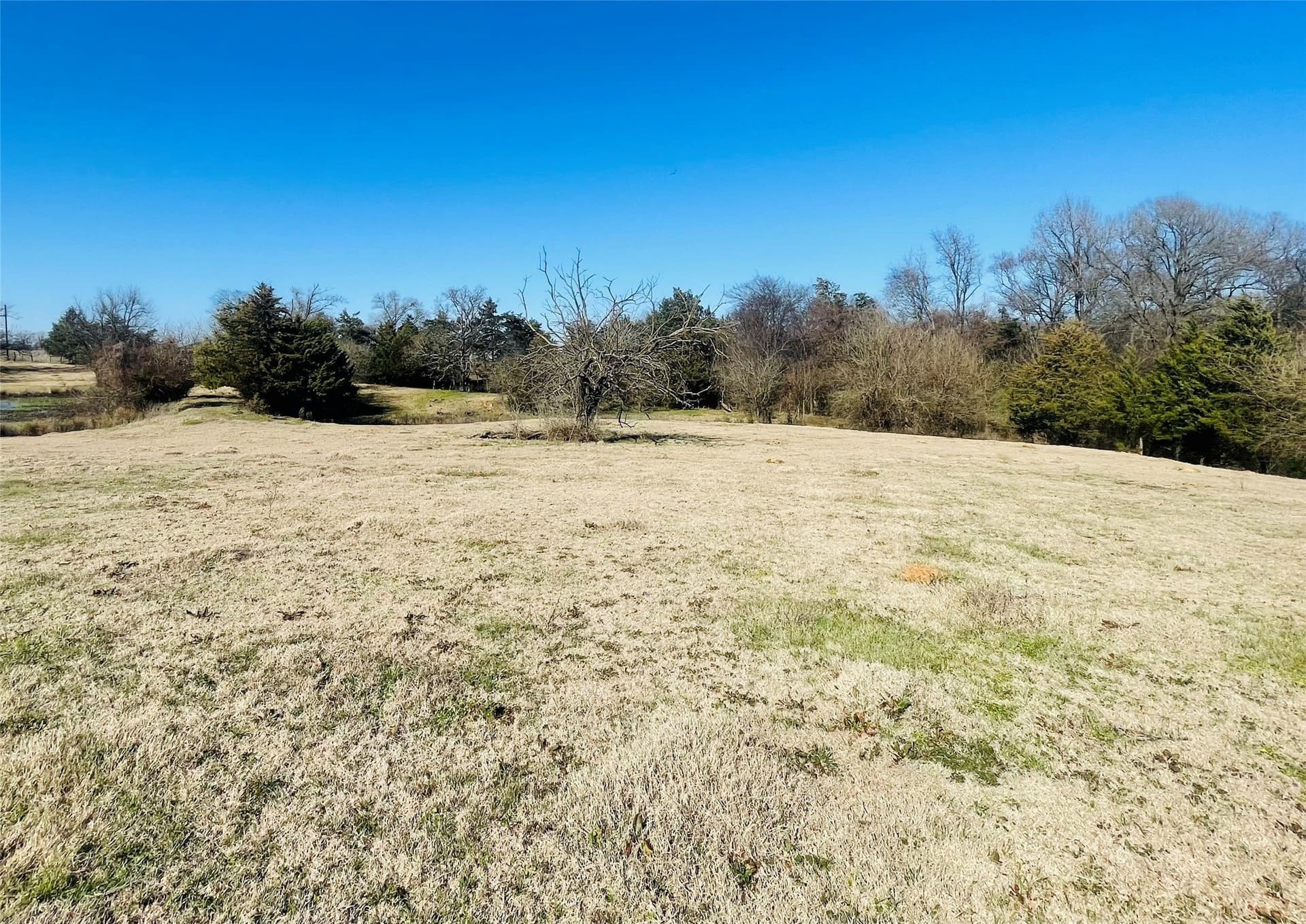 22 acres in Hopkins County - photo 7