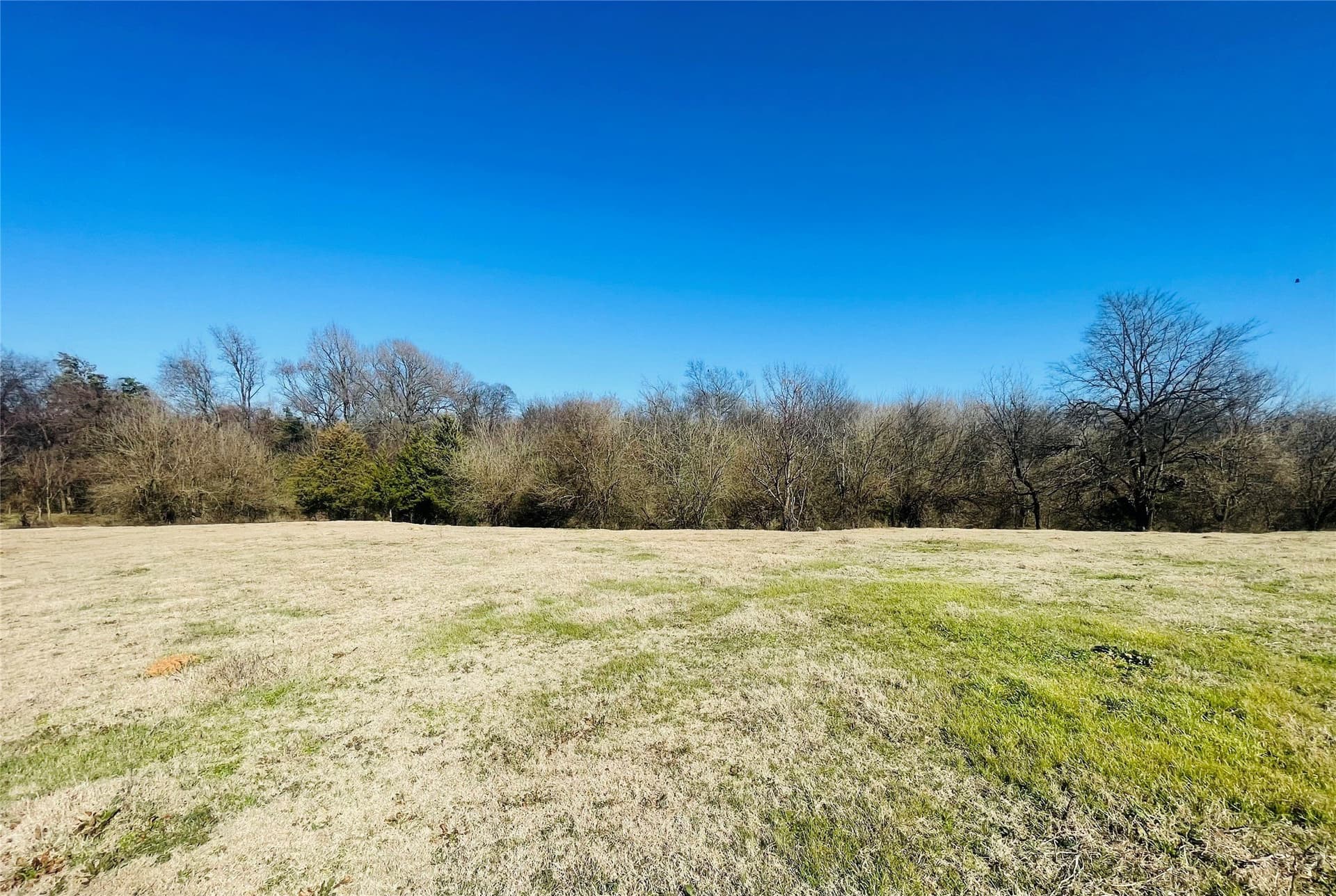 22 acres in Hopkins County - photo 6