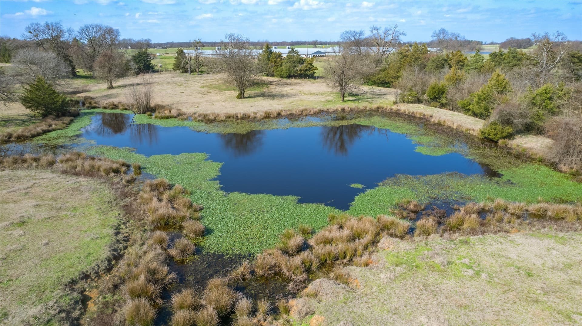 22 acres in Hopkins County - photo 2