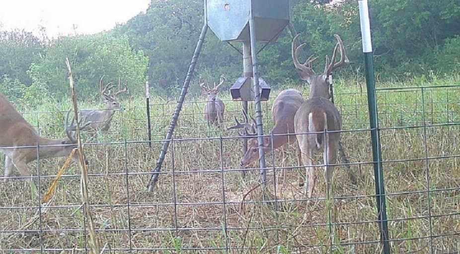 47.88 acres in Grayson County - photo 10