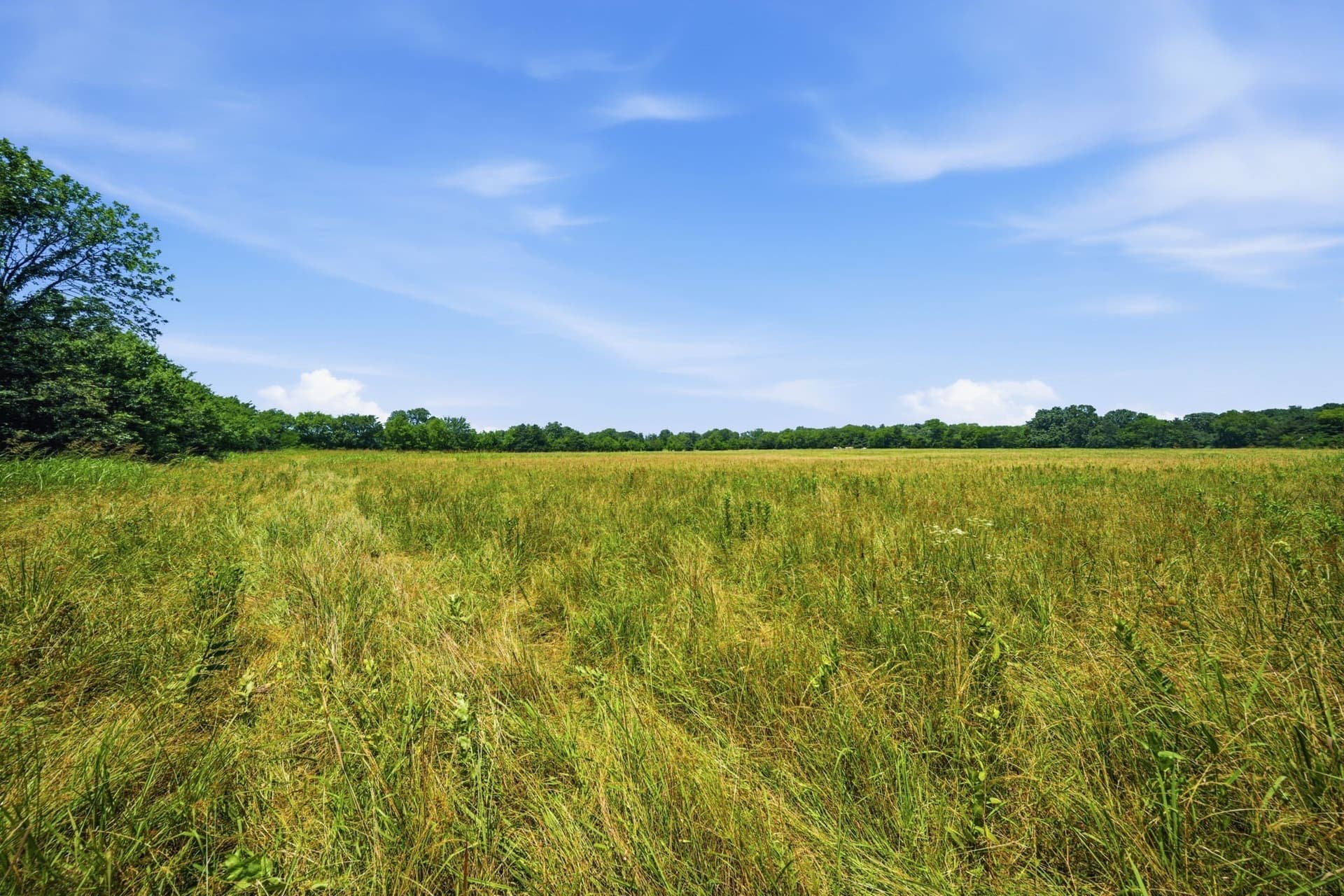 47.88 acres in Grayson County - photo 27