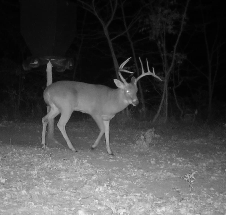 47.88 acres in Grayson County - photo 13