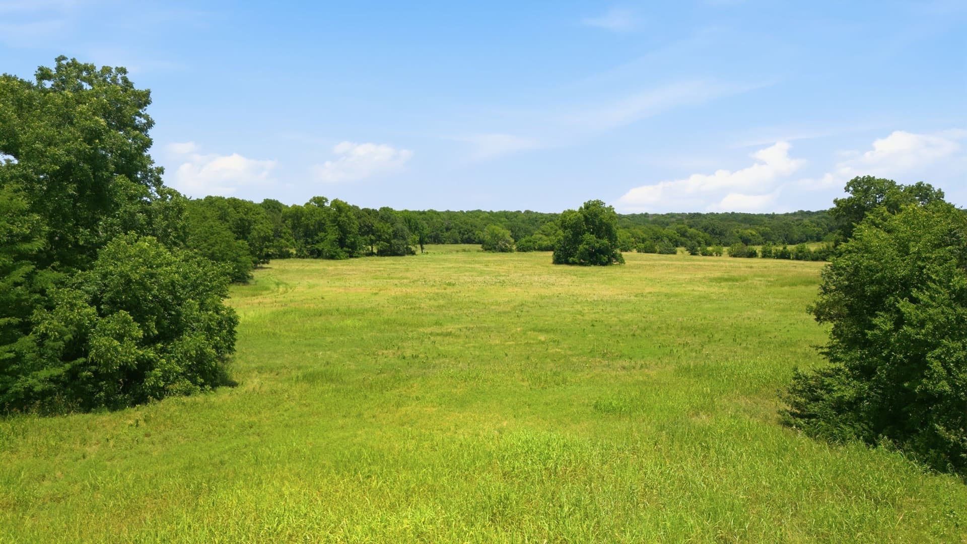 47.88 acres in Grayson County - photo 23