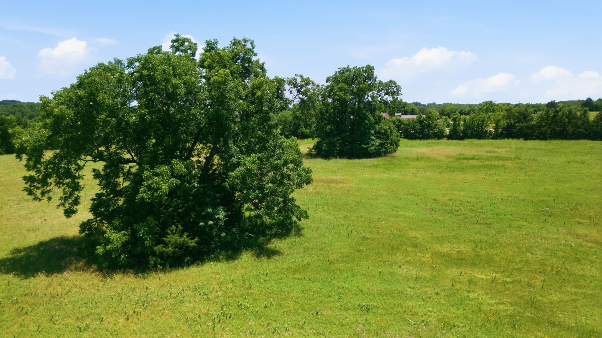 47.88 acres in Grayson County - photo 22