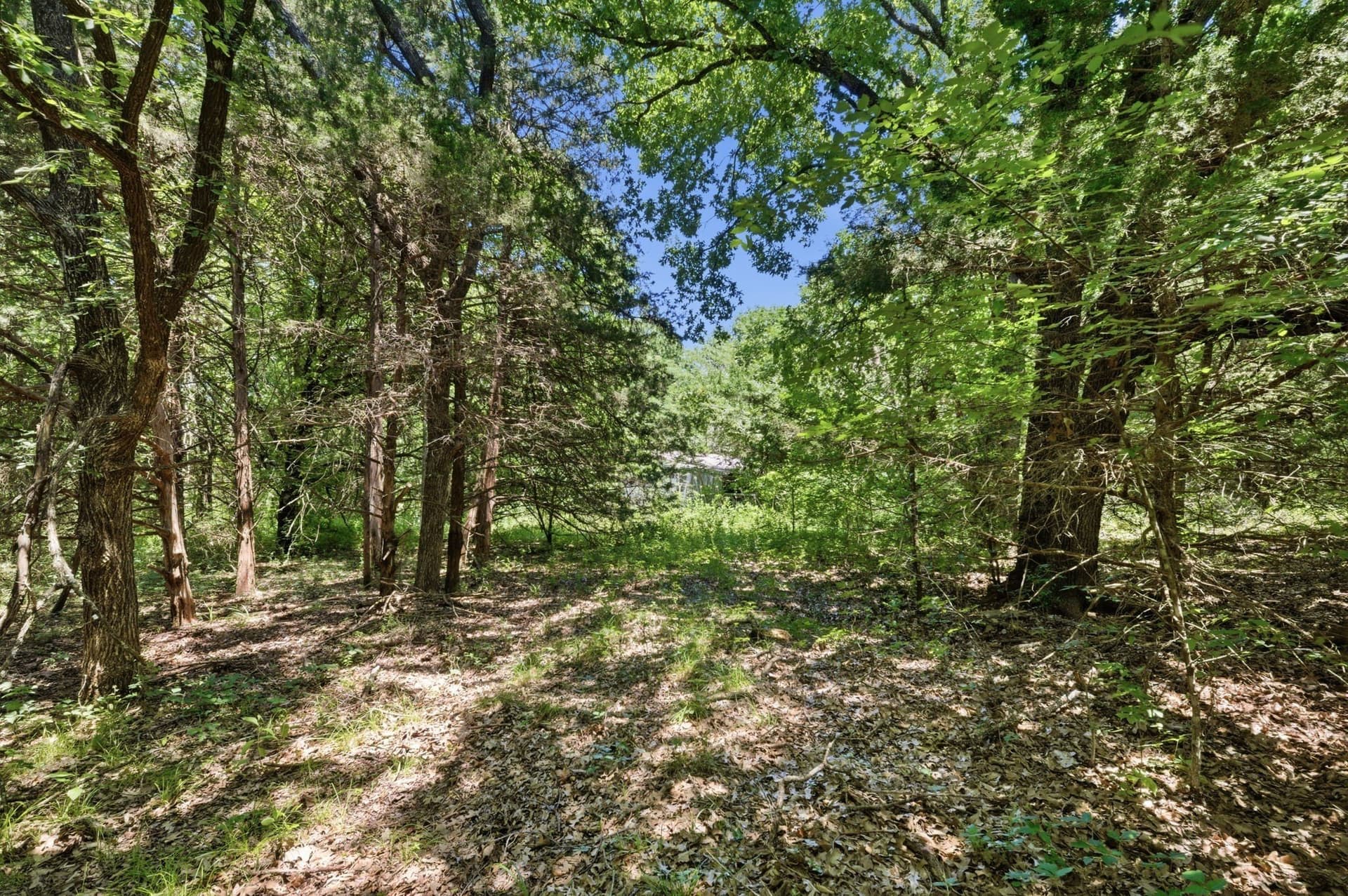47.88 acres in Grayson County - photo 32