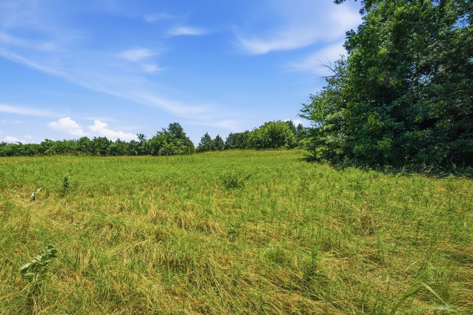 47.88 acres in Grayson County - photo 33