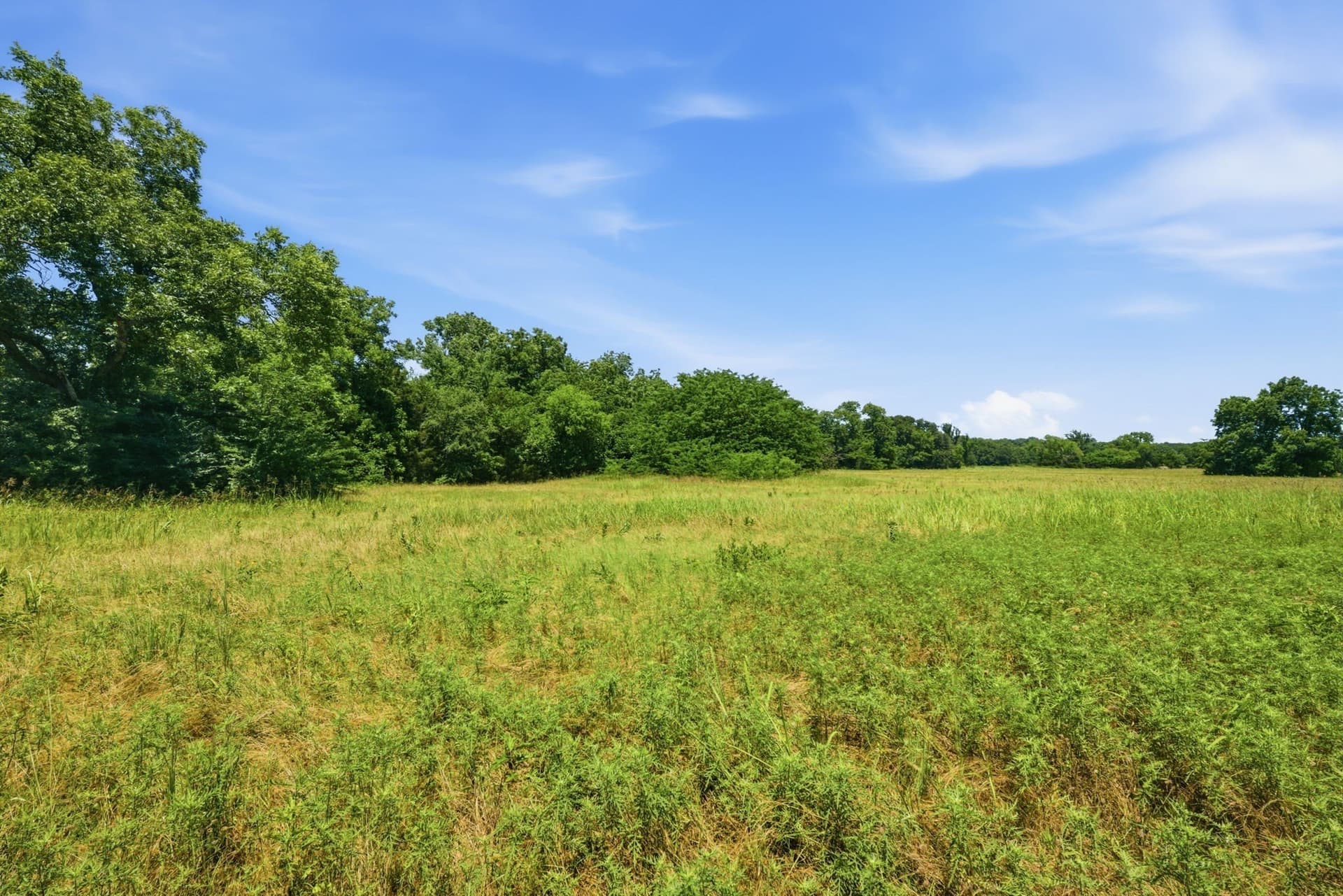47.88 acres in Grayson County - photo 34