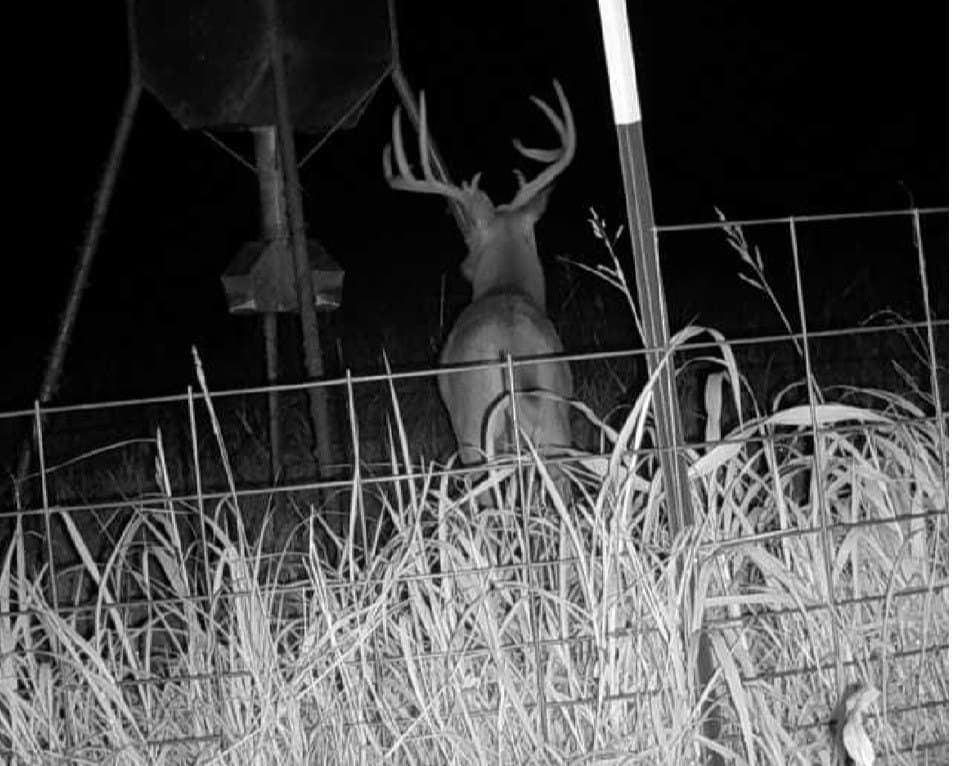 47.88 acres in Grayson County - photo 11