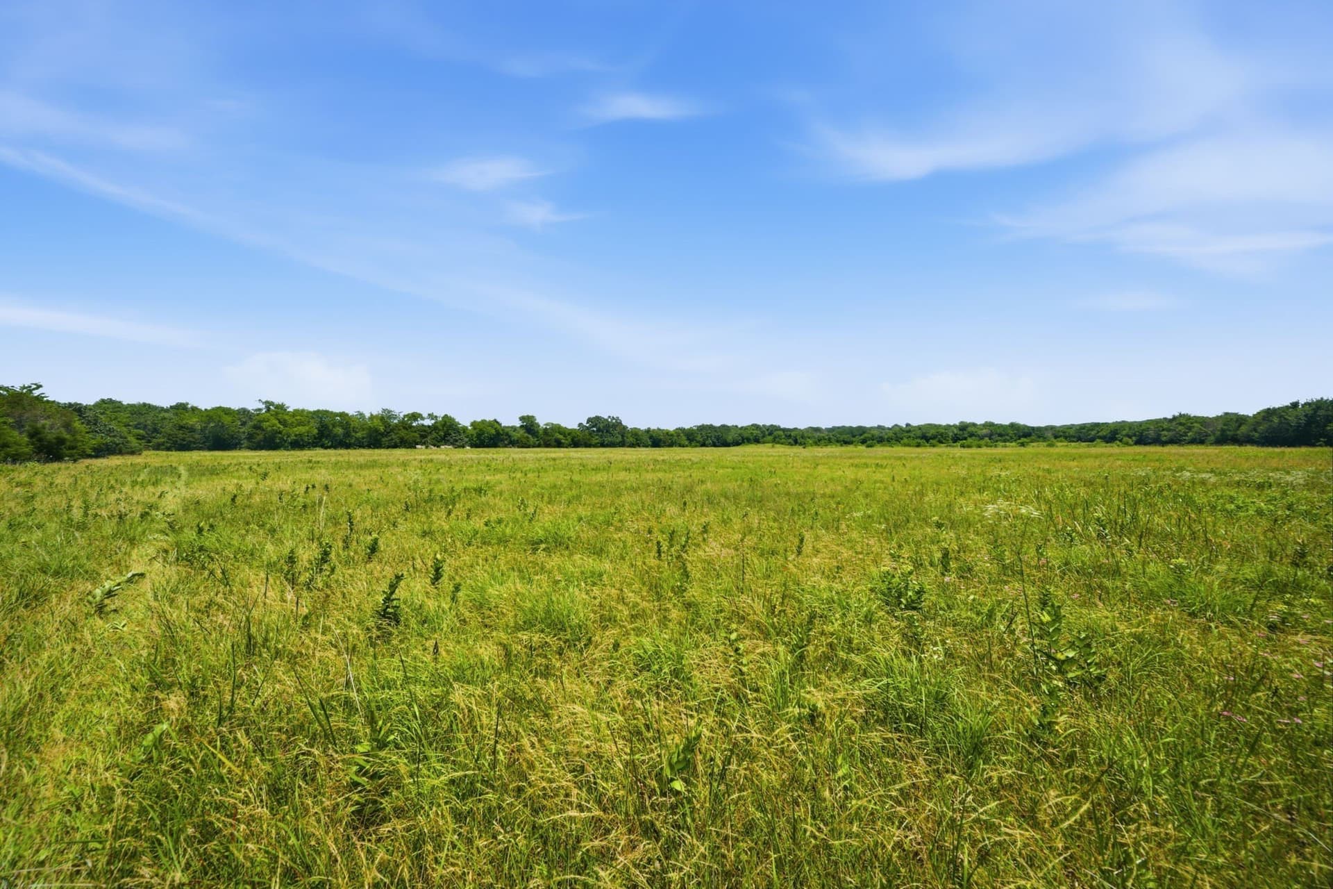 47.88 acres in Grayson County - photo 28