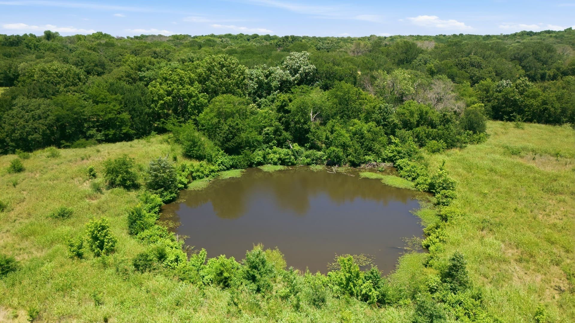 47.88 acres in Grayson County - photo 20