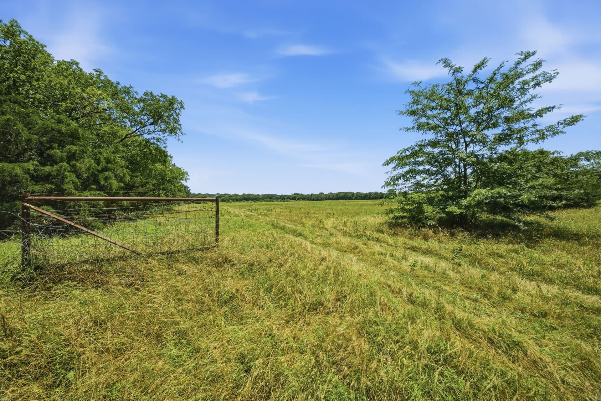 47.88 acres in Grayson County - photo 29