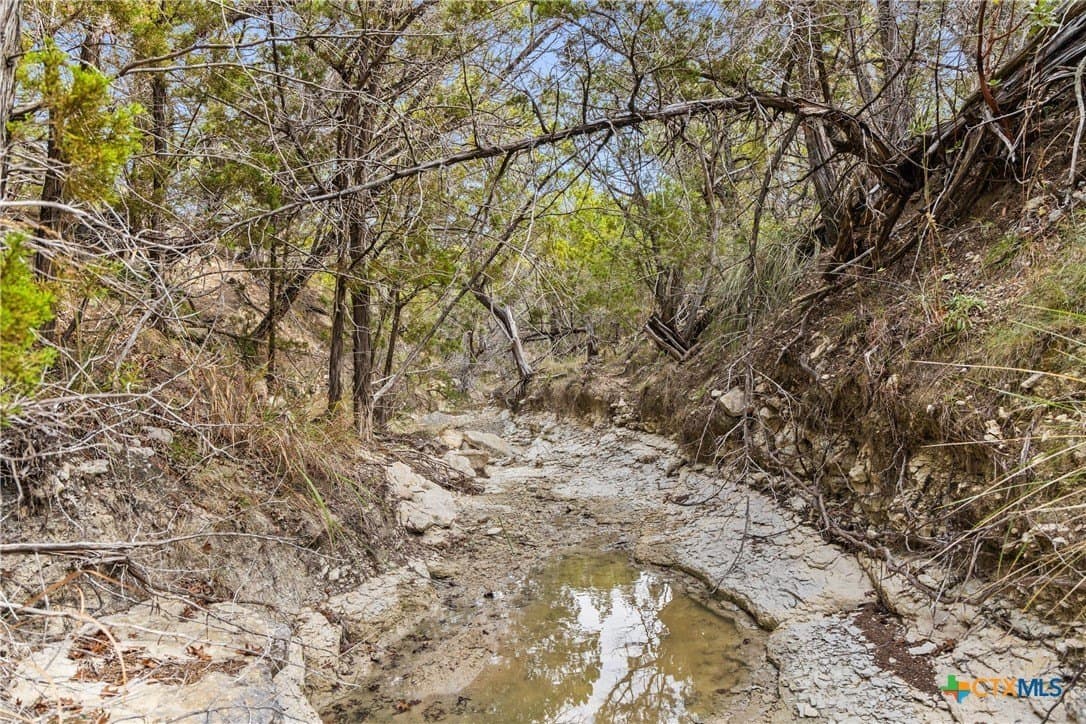 17.9 acres in Blanco County - photo 41