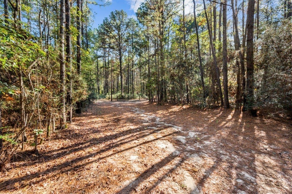 6.45 acres in Texas County - photo 8