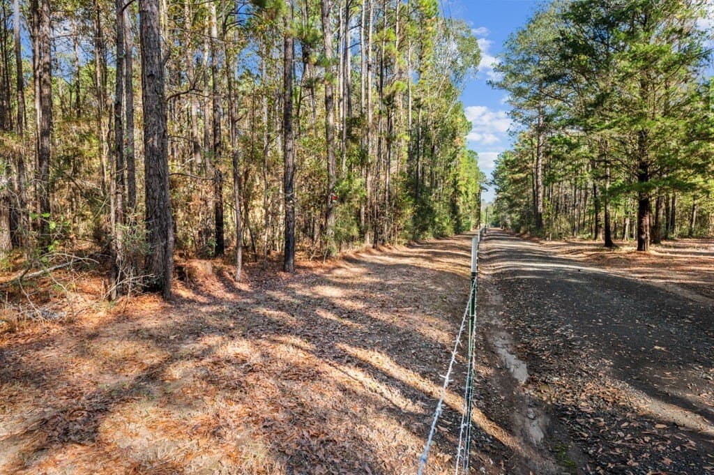 6.45 acres in Texas County - photo 15