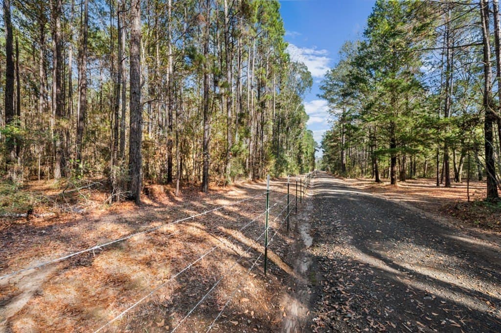 6.45 acres in Texas County - photo 14