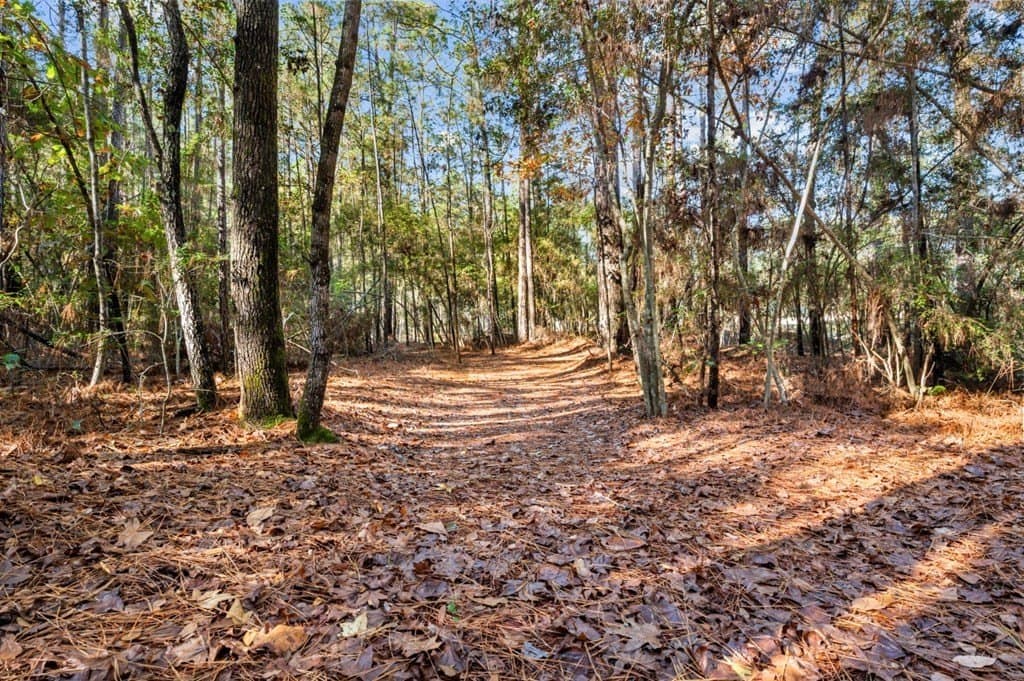 6.45 acres in Texas County - photo 7