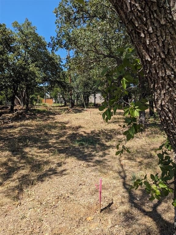 14.5 acres in Wise County gallery image 2