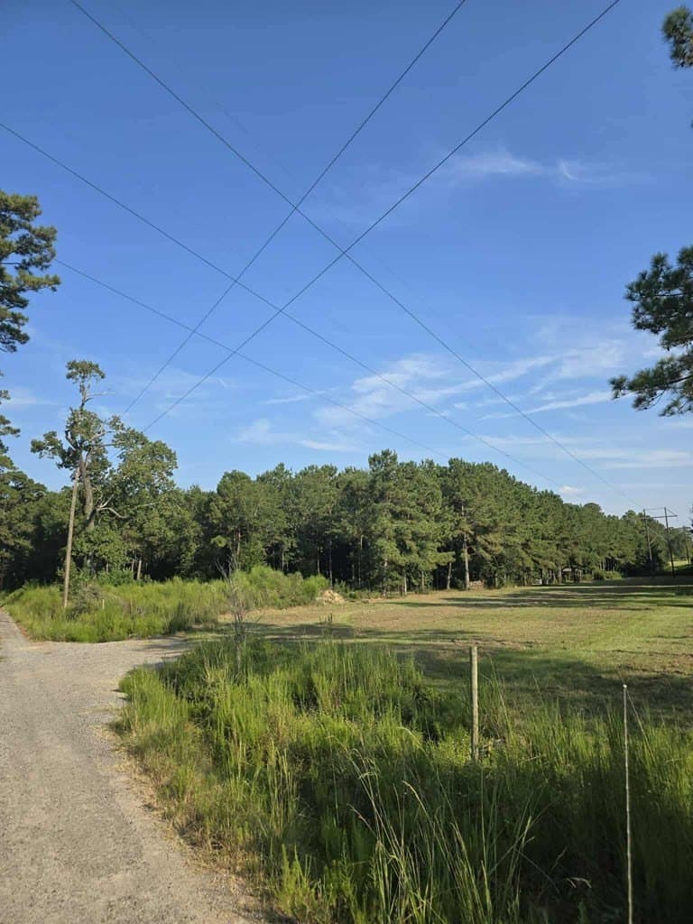 16 acres in Texas County gallery image 3