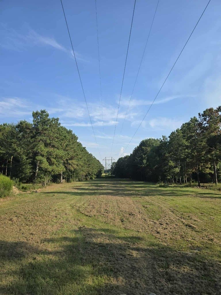16 acres in Texas County featured view