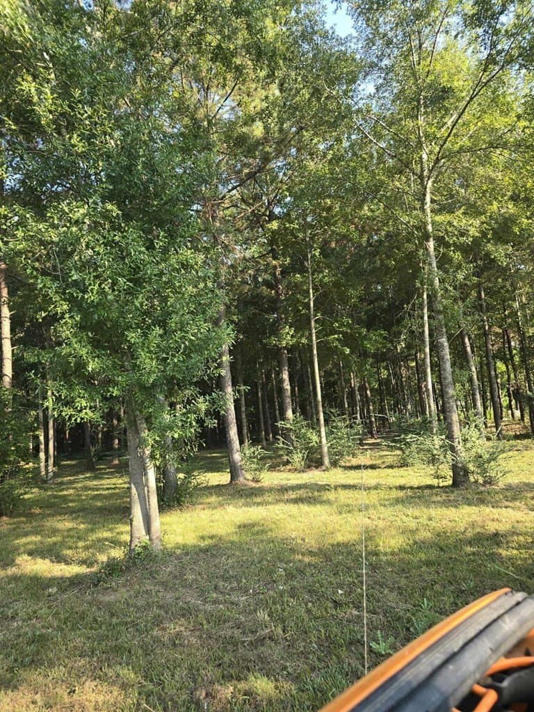 16 acres in Texas County gallery image 4