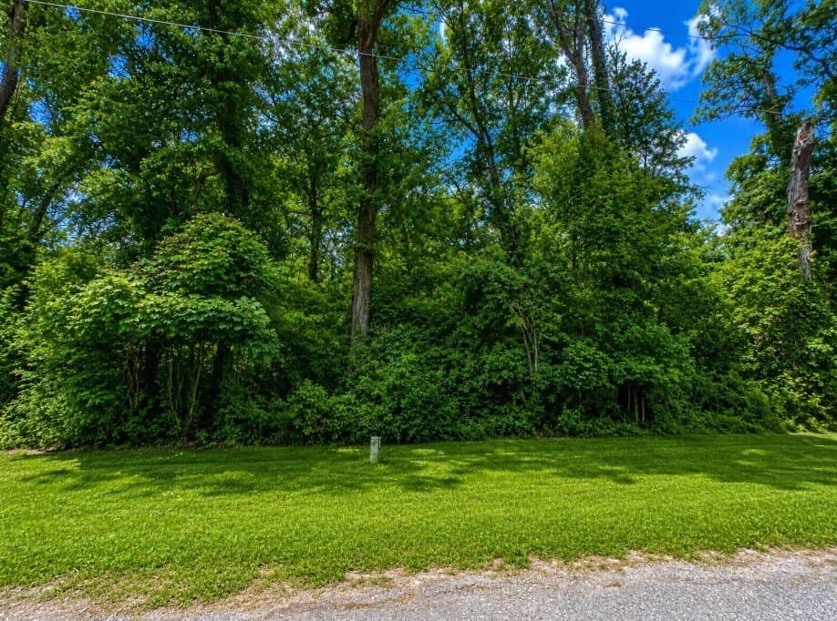 1.34 acres in Texas County featured view