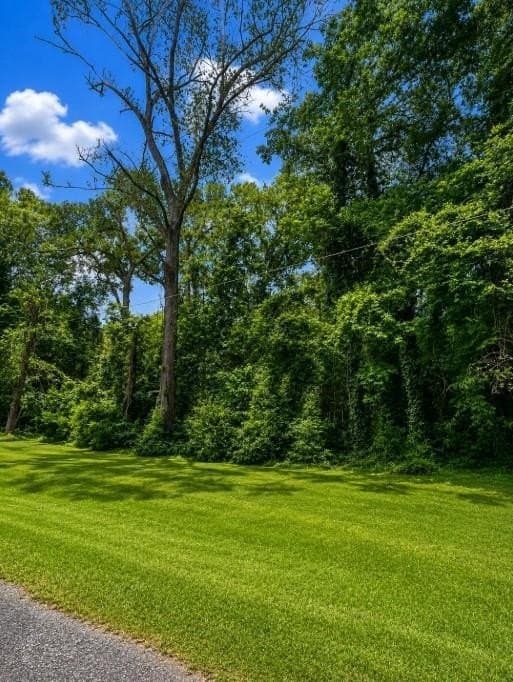 1.34 acres in Texas County gallery image 2