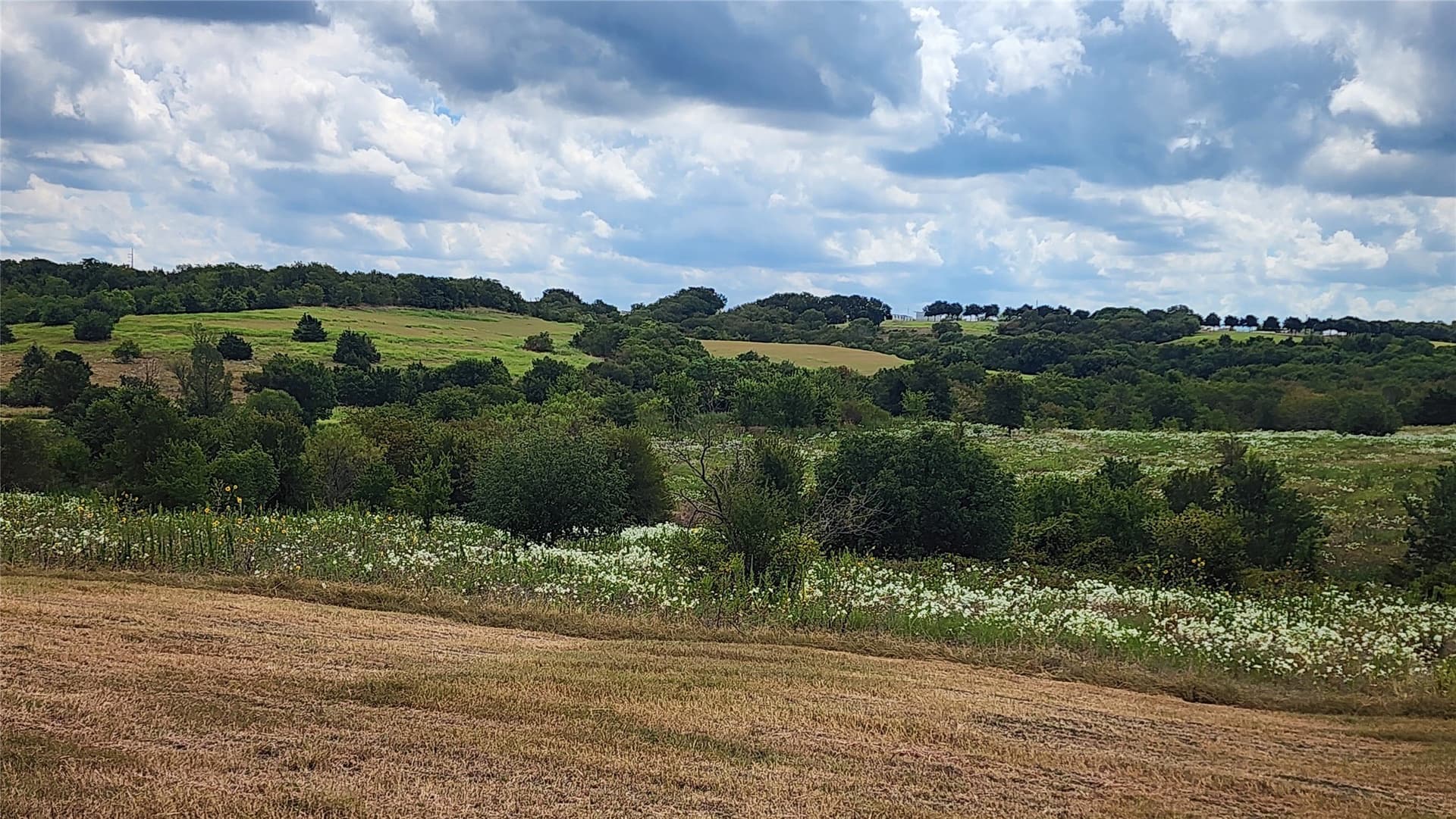 153.01 acres in Ellis County - photo 14