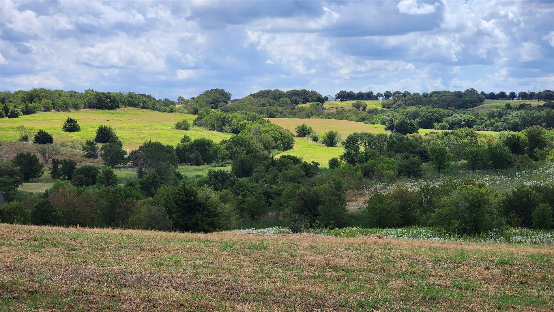 153.01 acres in Ellis County - photo 6