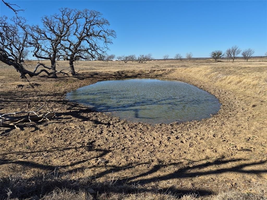 65.35 acres in Young County gallery image 4