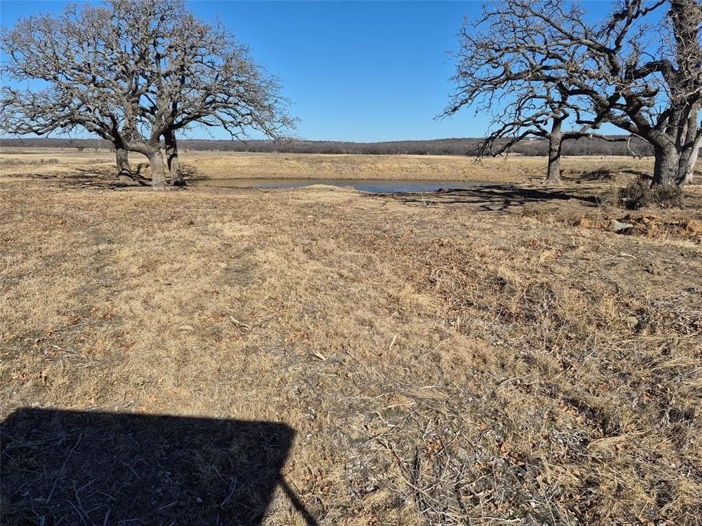 65.35 acres in Young County gallery image 3