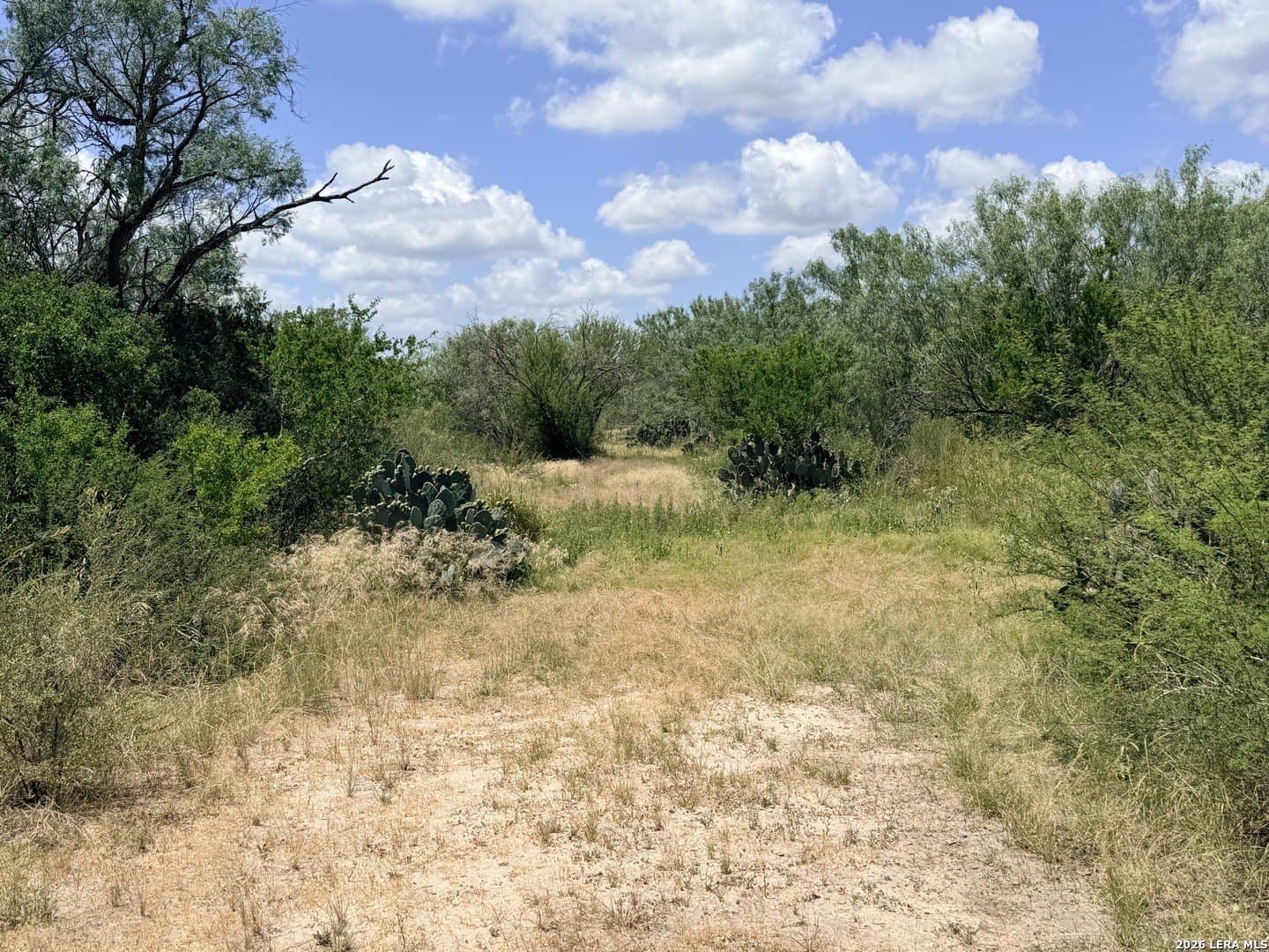 69.67 acres in Atascosa County featured view