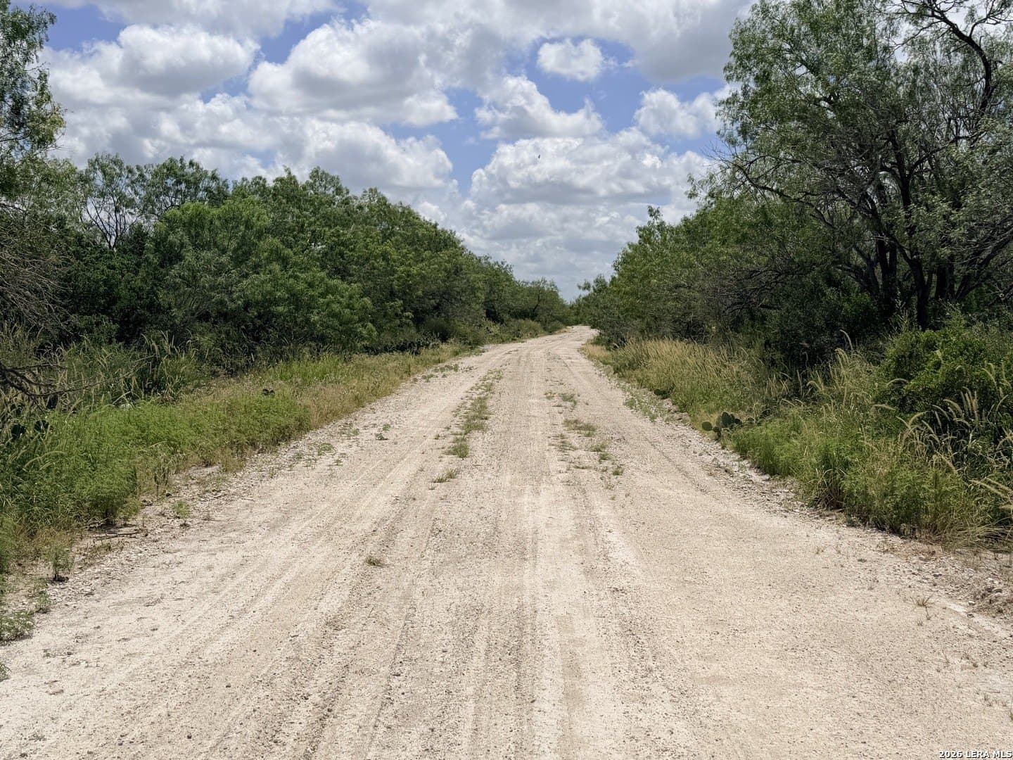 69.67 acres in Atascosa County