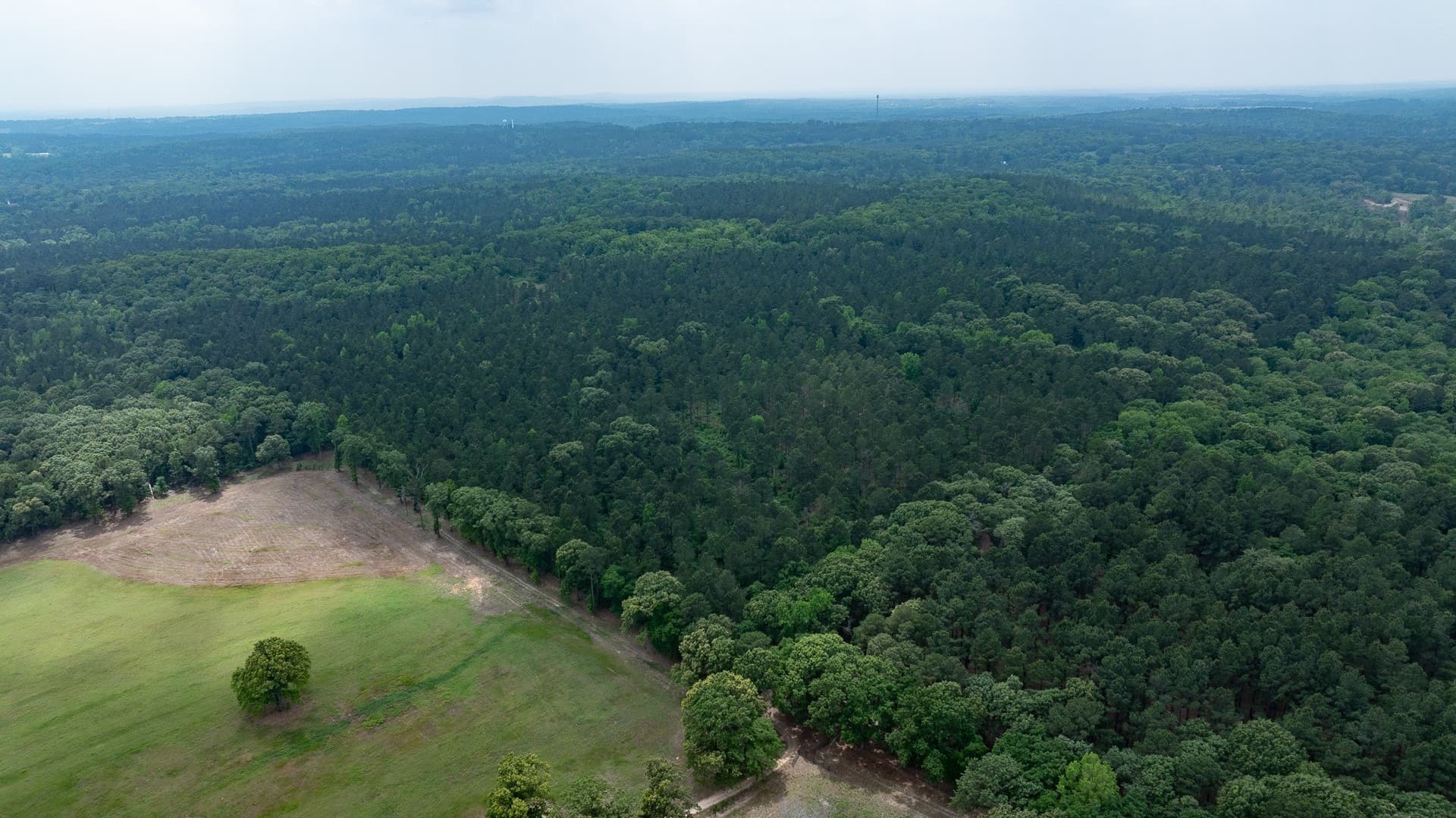 470.4 acres in Van Zandt County - photo 38