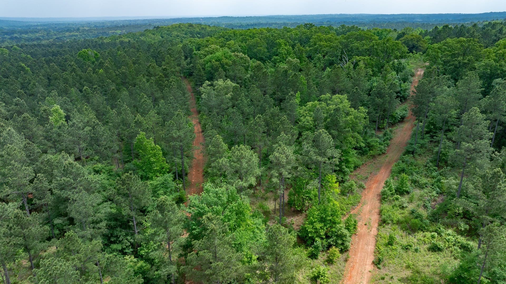470.4 acres in Van Zandt County - photo 19