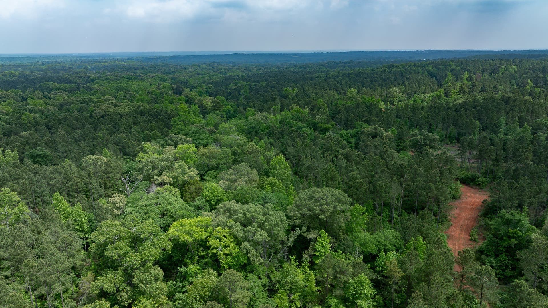 470.4 acres in Van Zandt County - photo 23