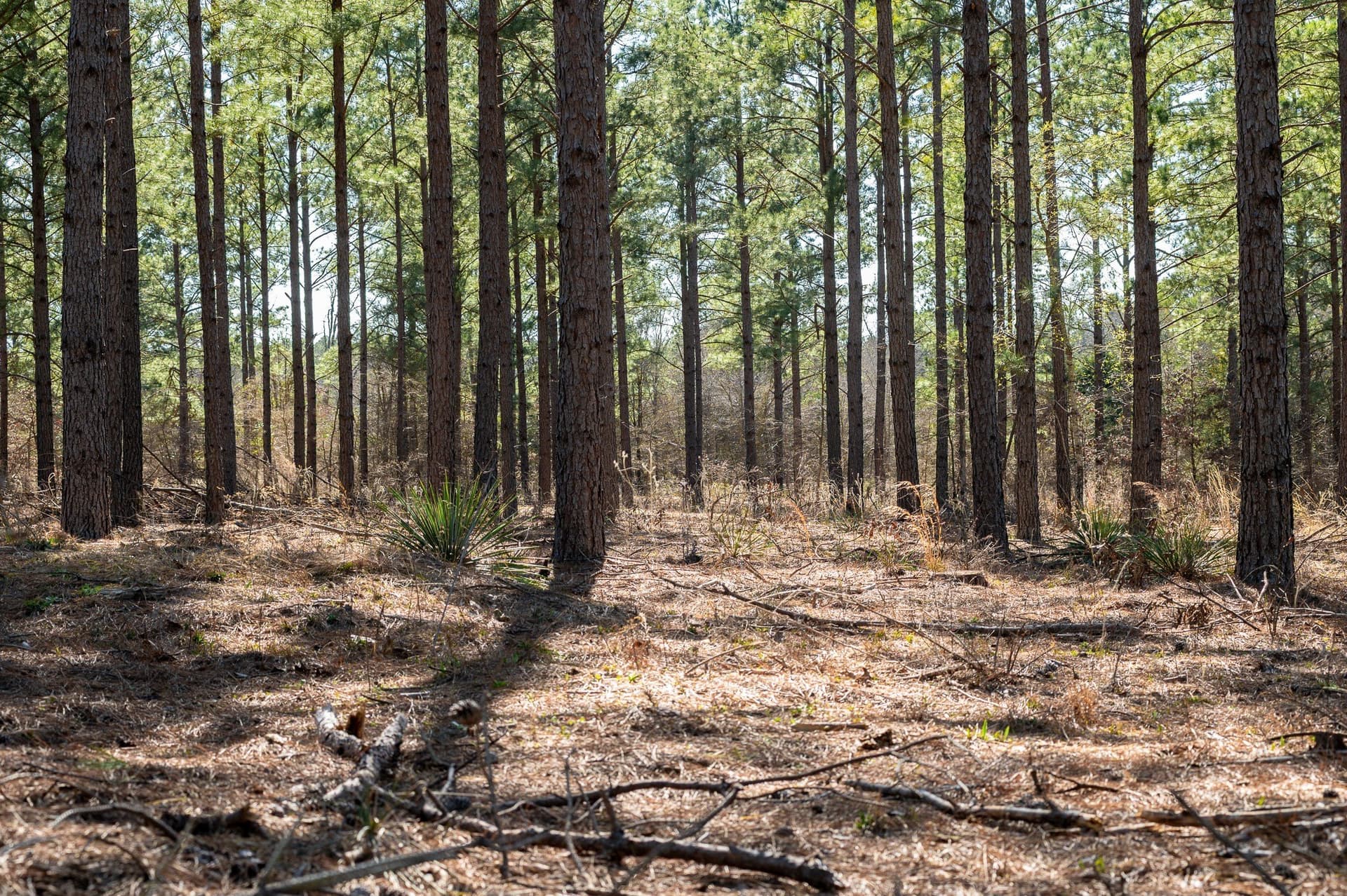 470.4 acres in Van Zandt County - photo 26