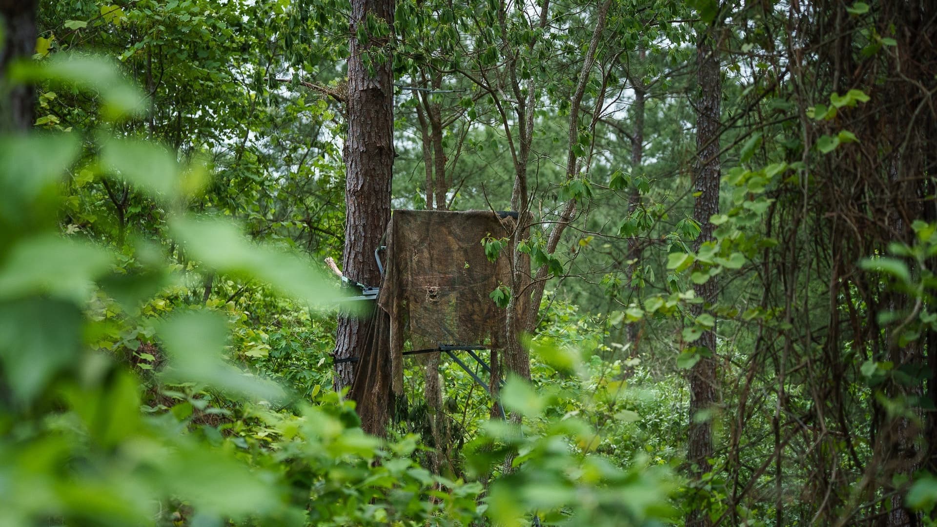470.4 acres in Van Zandt County - photo 6