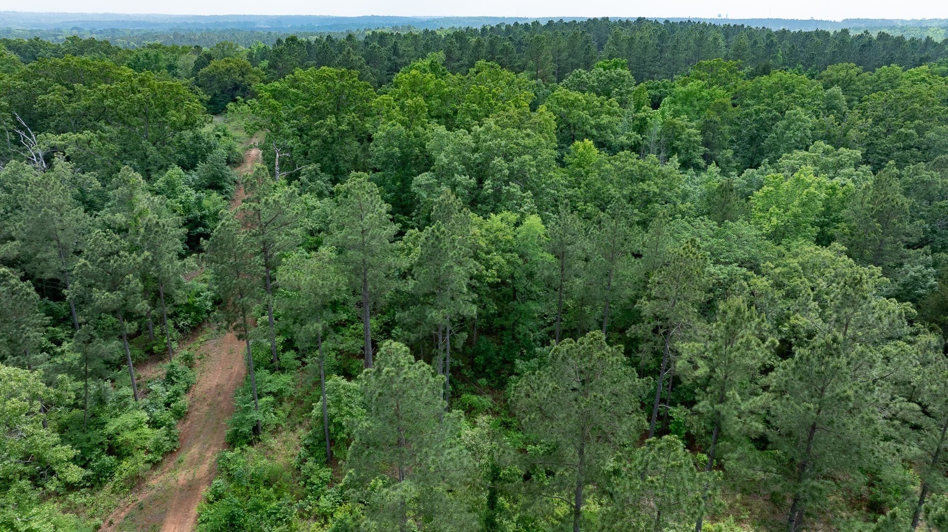 470.4 acres in Van Zandt County - photo 18