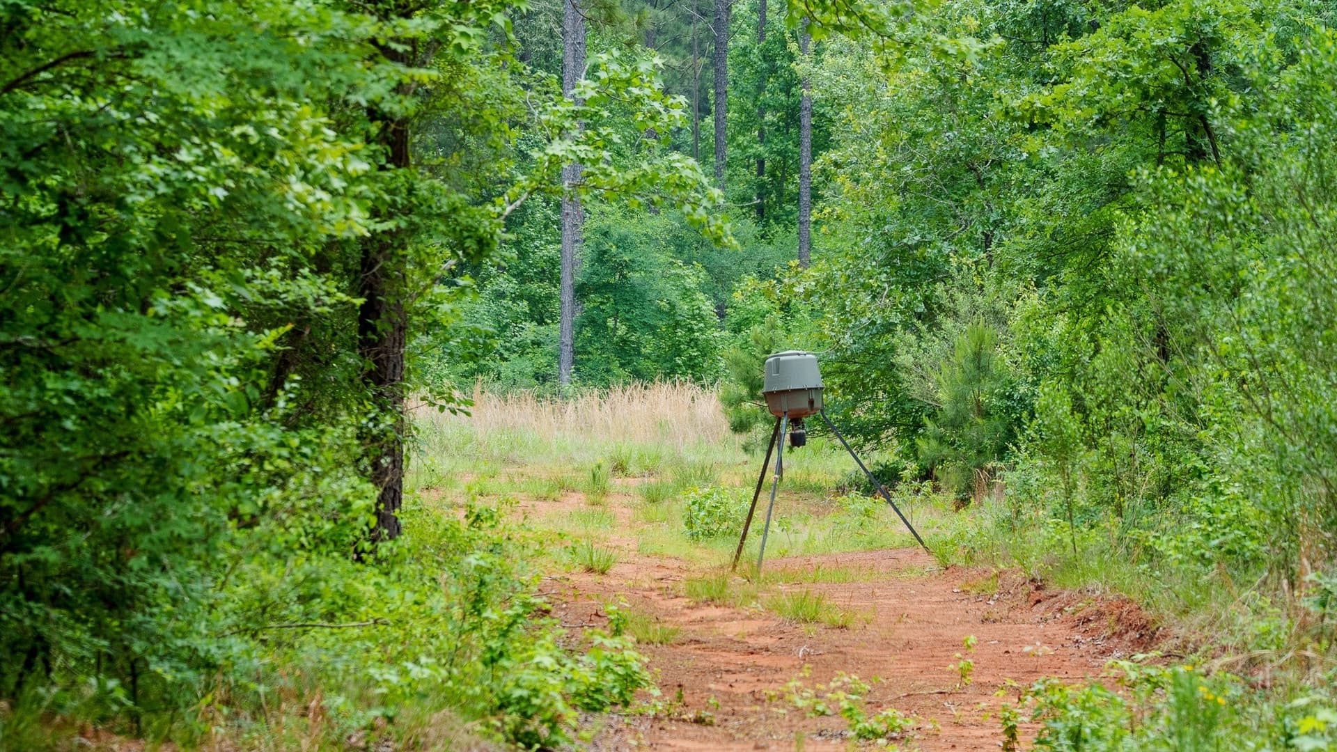 470.4 acres in Van Zandt County - photo 13