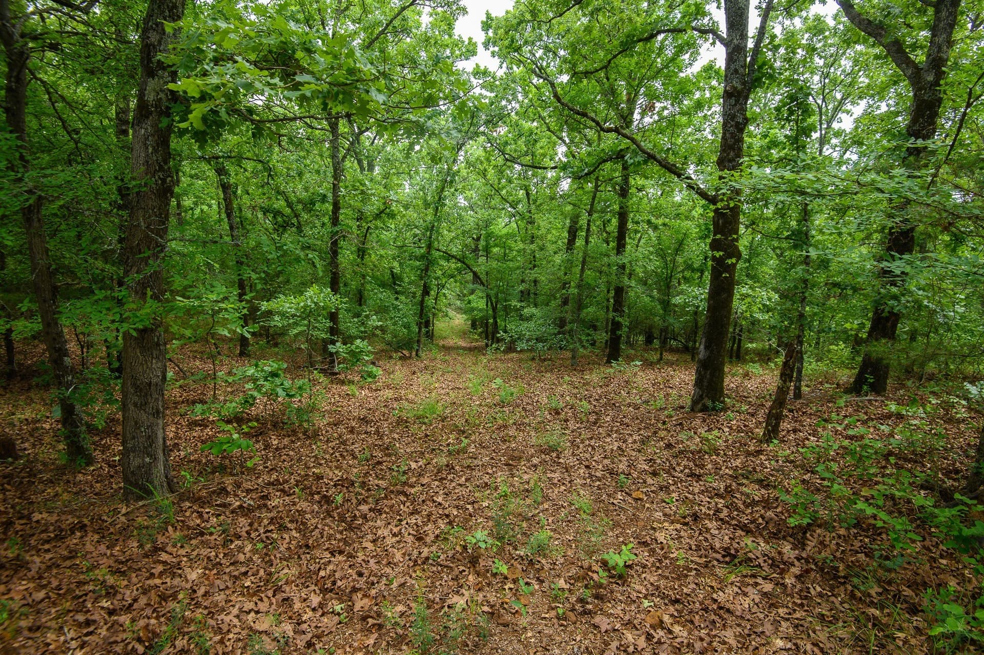 470.4 acres in Van Zandt County - photo 16