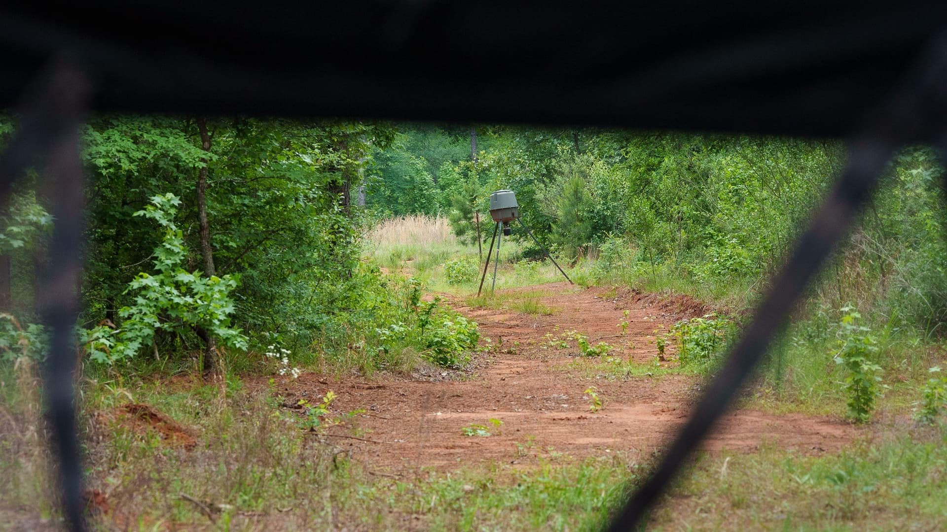 470.4 acres in Van Zandt County - photo 14