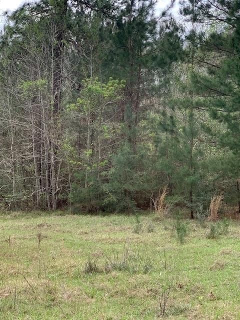 19.84 acres in Texas County - photo 9