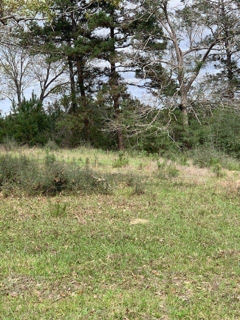 19.84 acres in Texas County - photo 4