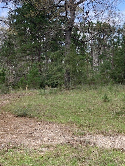 19.84 acres in Texas County - photo 2