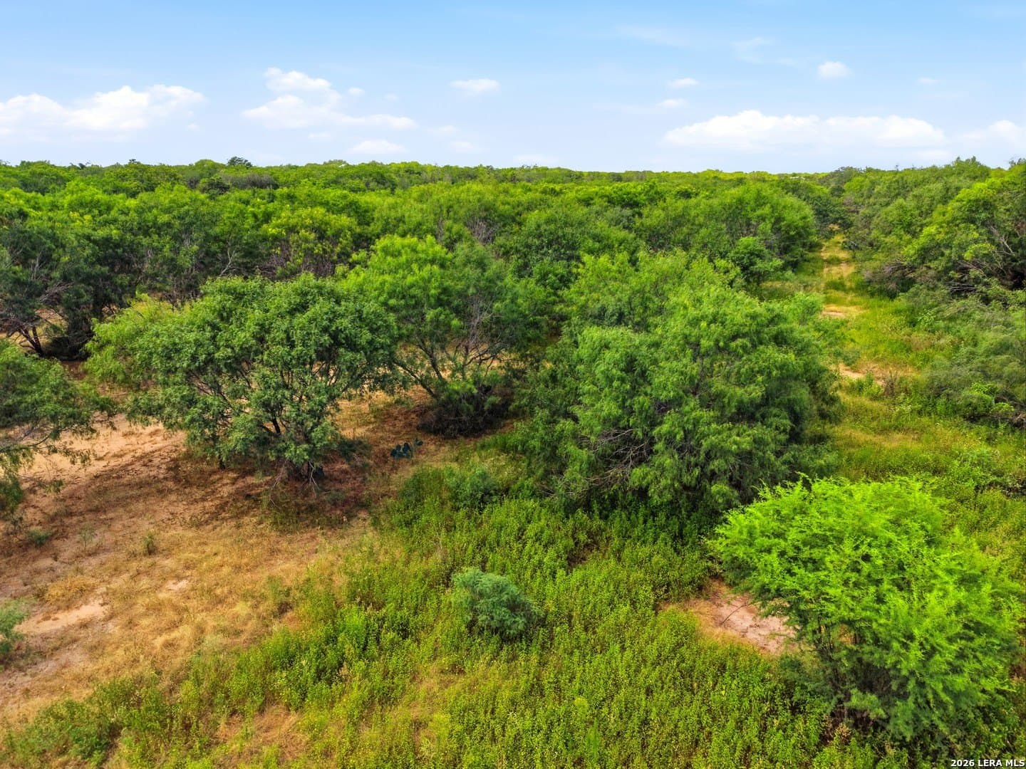 8.4 acres in Bexar County gallery image 4