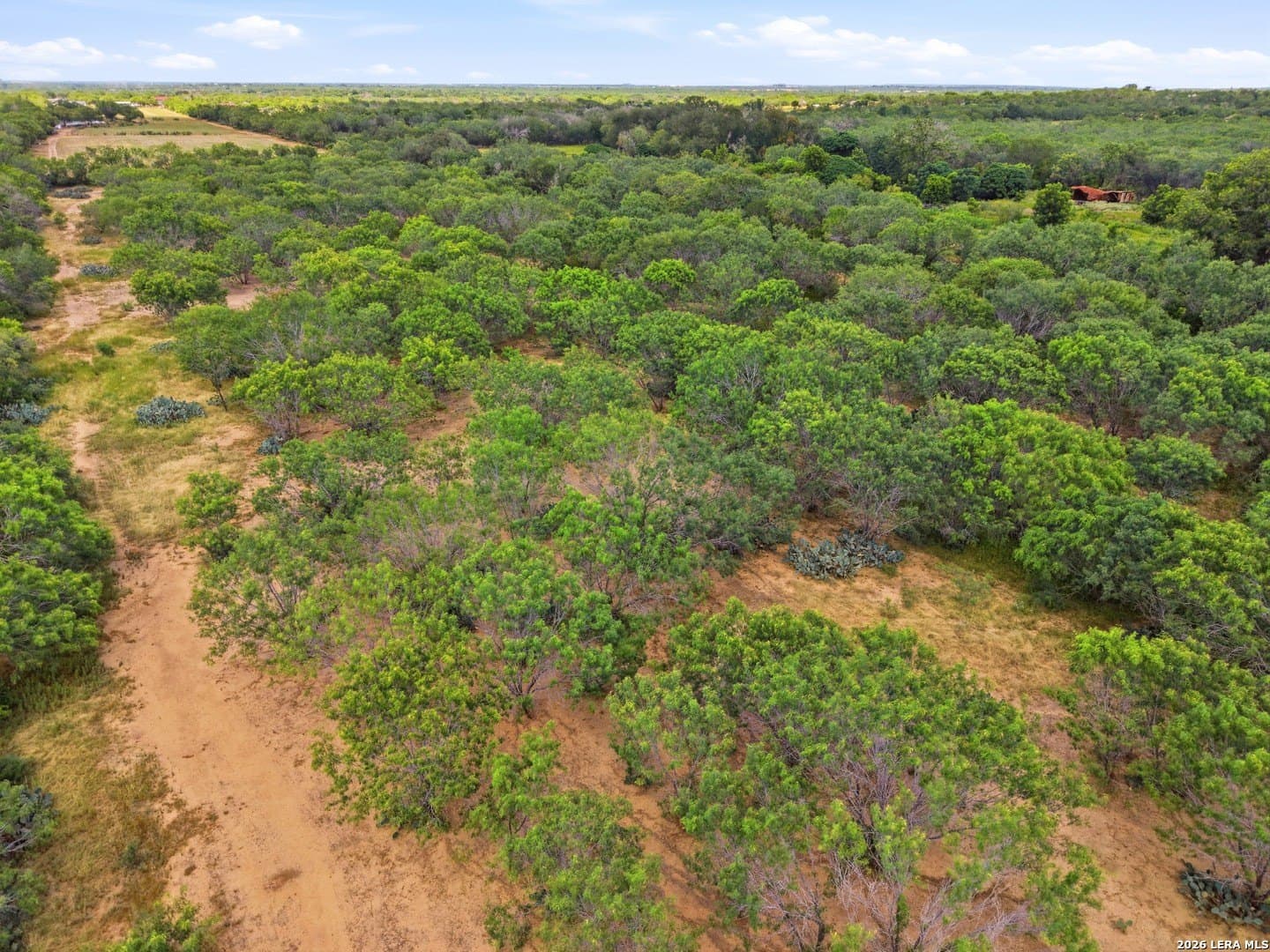 8.4 acres in Bexar County - photo 6